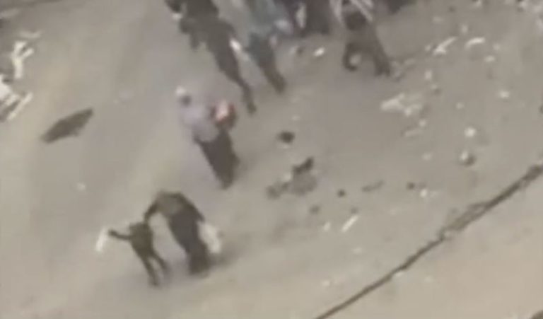 She was fleeing with her grandson, who was holding a white flag. Then she was shot