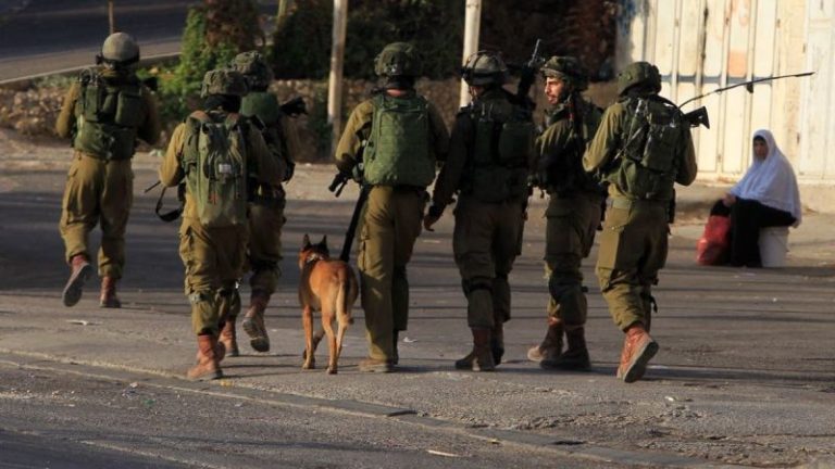 Israeli forces reveal footage of K9 unit clearing houses in Gaza, uncovering Hamas weapons