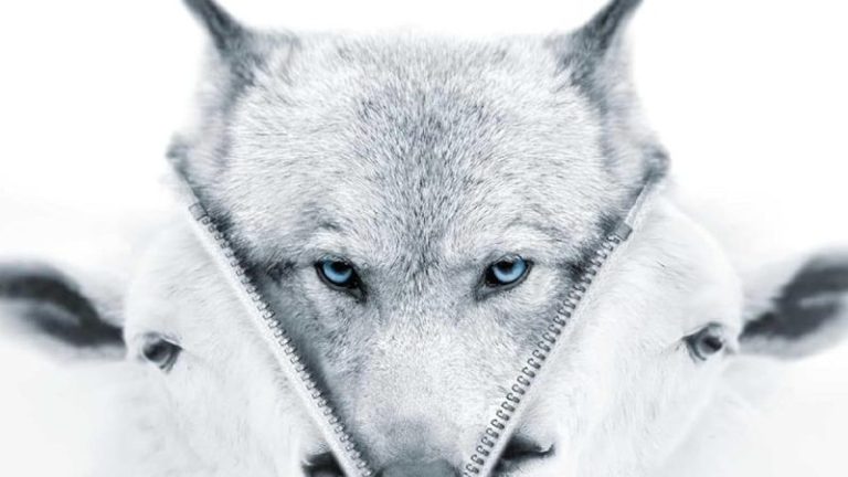 Google Gemini invented fake reviews smearing my book about Big Tech’s political biases