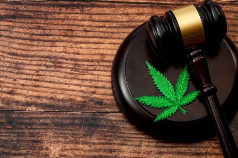 Cannabis Round-Up: DEA Clarifies Rescheduling Timeline, New Hampshire and Kansas Face Legalization Snags