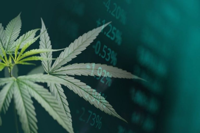 US Cannabis Sales Hit Record in October, Market Set to Reach US$55 Billion by 2030