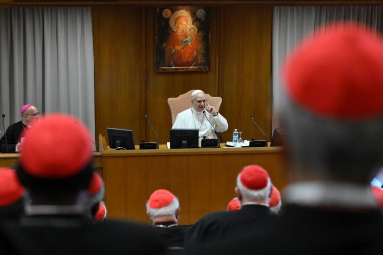 Pope Leo signals he will closely follow Francis and says AI represents challenge for humanity