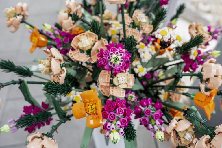 Lego hits record revenue in first half of 2025, boosted by brick flowers and cars